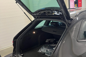 chiptuning ds 65